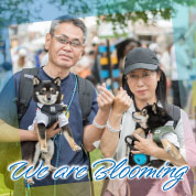 We are Blooming