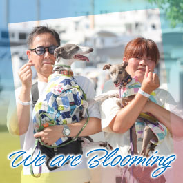 We are Blooming