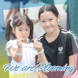 We are Blooming