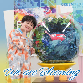 We are Blooming
