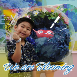 We are Blooming