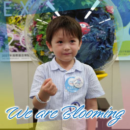 We are Blooming
