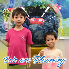 We are Blooming
