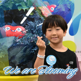 We are Blooming