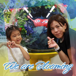 We are Blooming