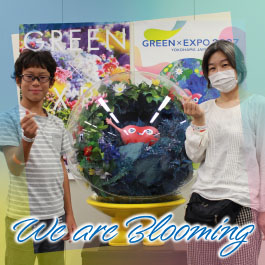 We are Blooming