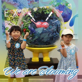 We are Blooming