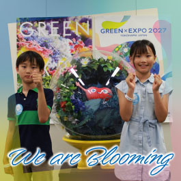 We are Blooming