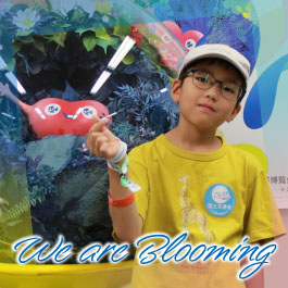 We are Blooming