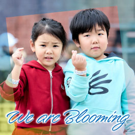 We are Blooming